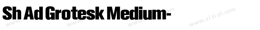 Sh Ad Grotesk Medium字体转换